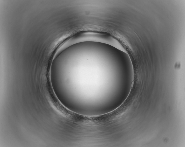 X0000092080538200709121446