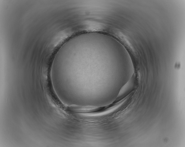X0000092080539200709121446