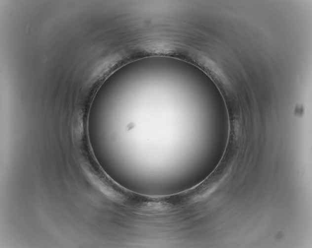X0000092080541200709121446