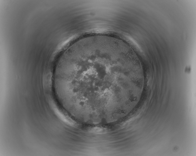 X0000092080542200709121446