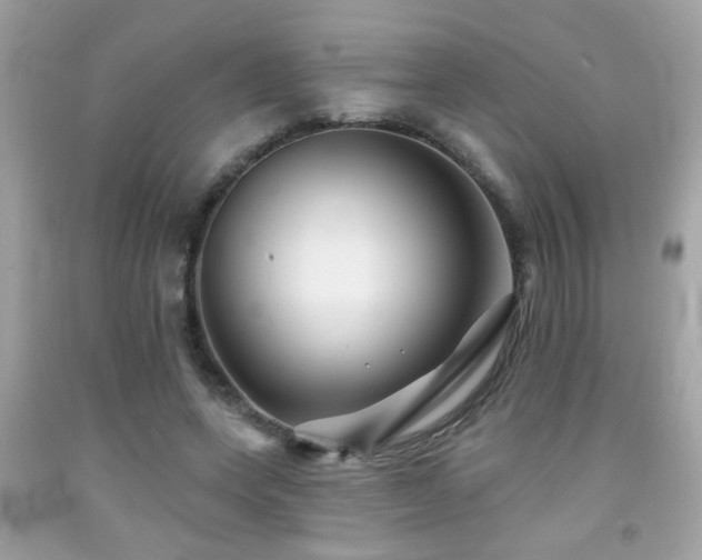 X0000092080543200709121446