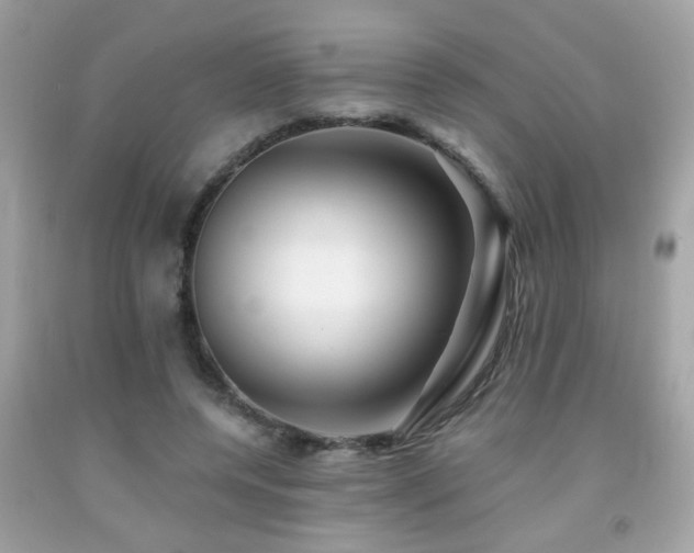 X0000092080544200709121446