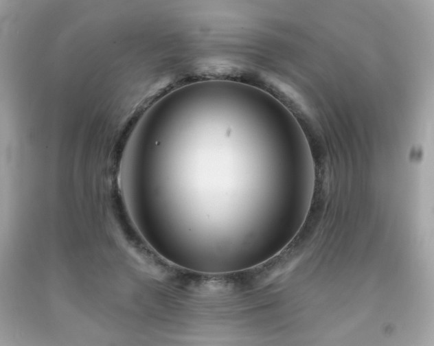 X0000092080546200709121446