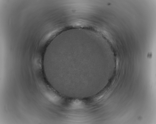 X0000092080547200709121446