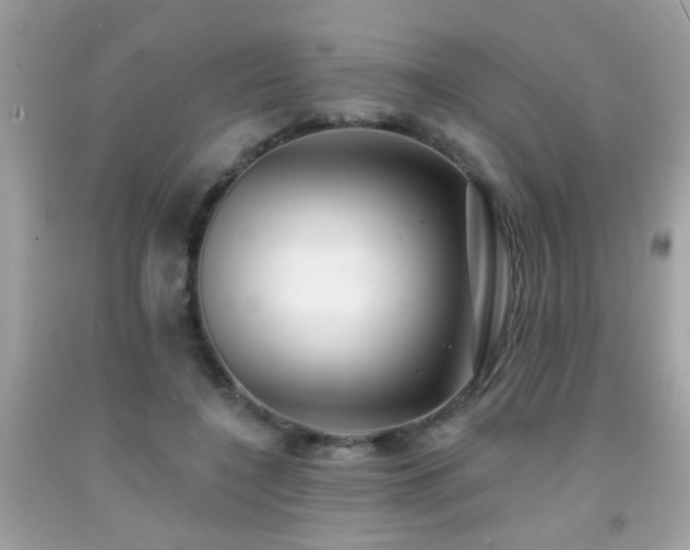 X0000092080548200709121446