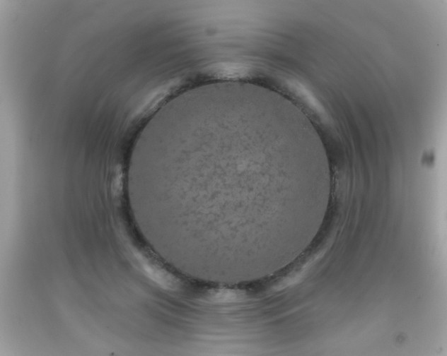 X0000092080549200709121446