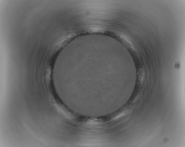 X0000092080550200709121446