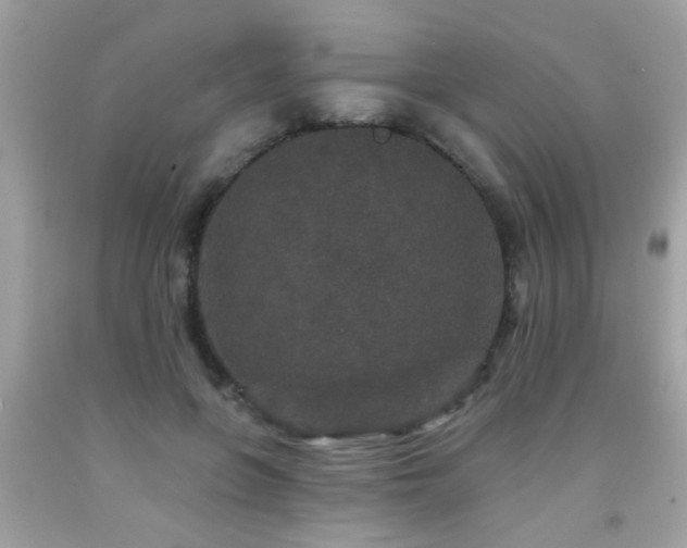 X0000092080551200709121446