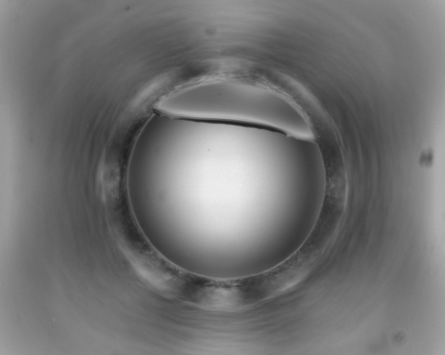 X0000092080552200709121446