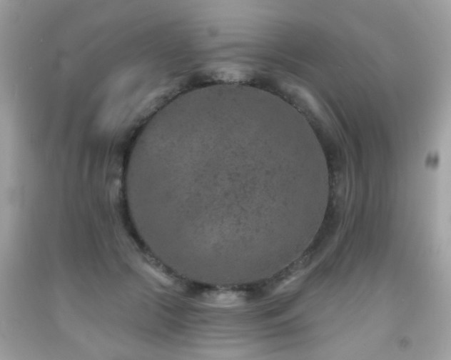 X0000092080553200709121446