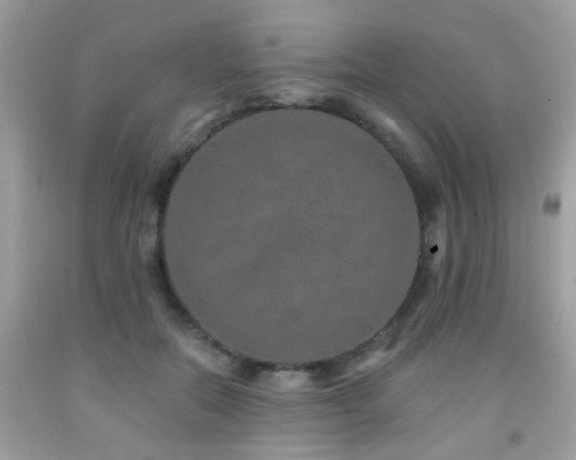 X0000092080554200709121446