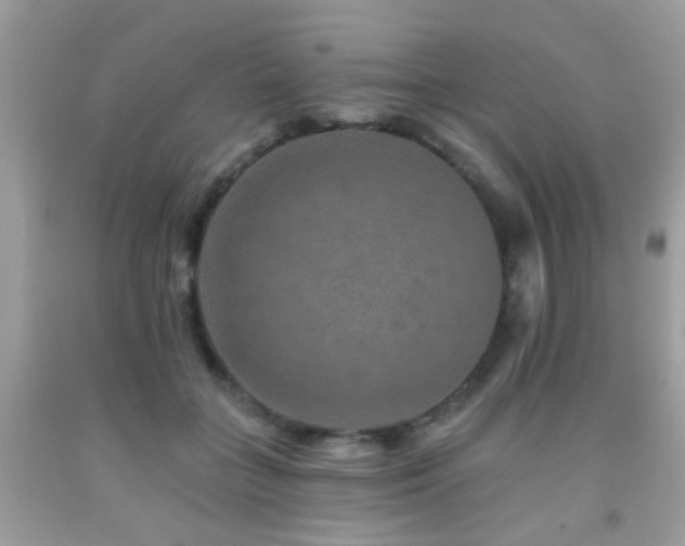 X0000092080555200709121446