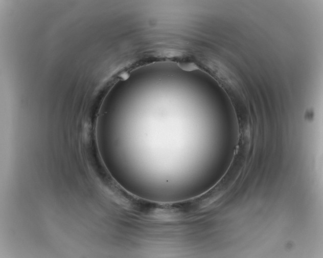 X0000092080556200709121446