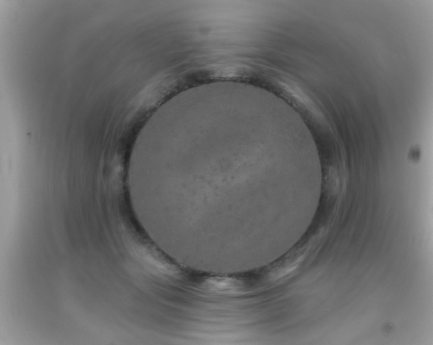 X0000092080557200709121446