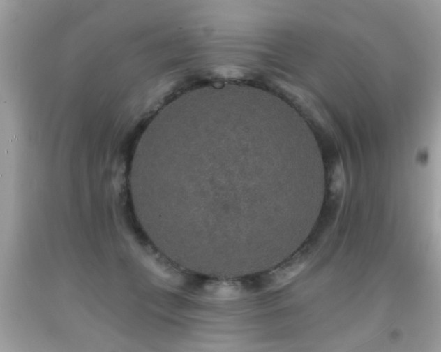 X0000092080559200709121446