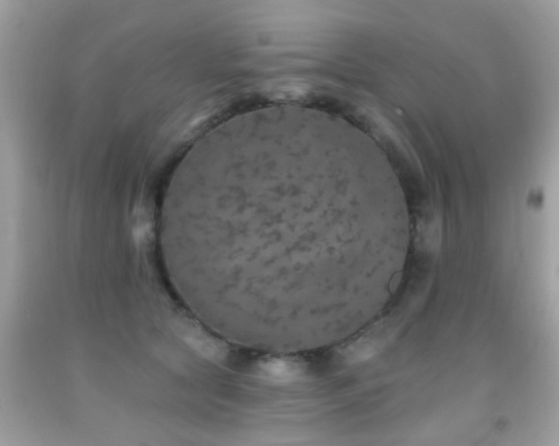 X0000092080561200709121446