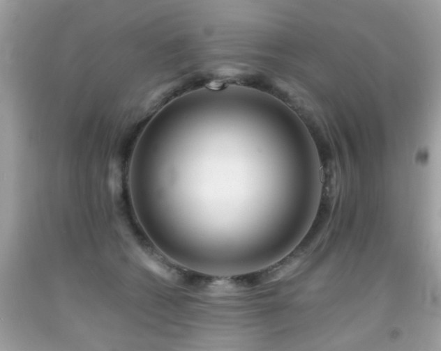 X0000092080562200709121446