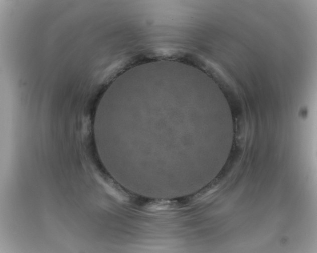 X0000092080563200709121446