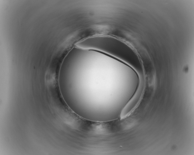 X0000092080564200709121446