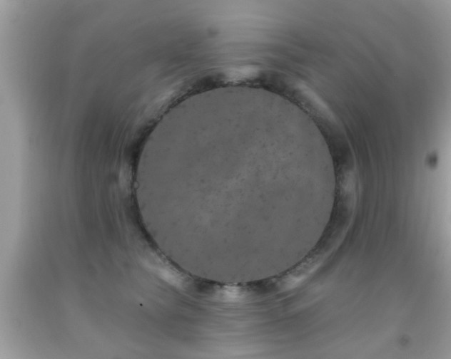 X0000092080565200709121446