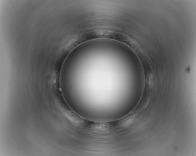 X0000092080567200709121446