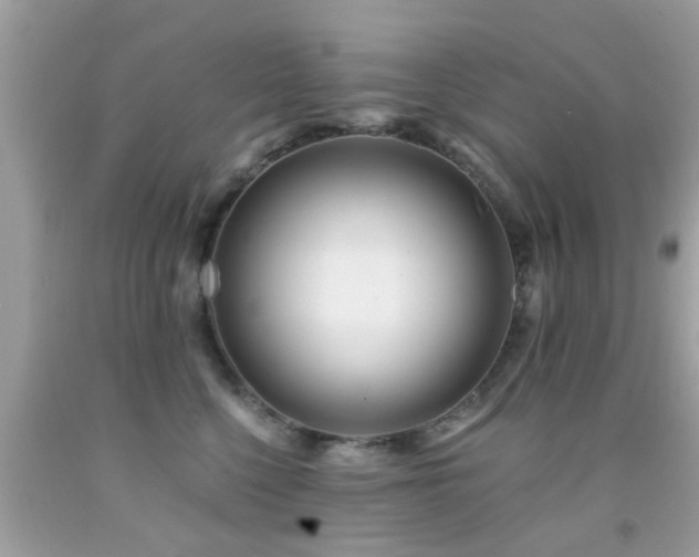 X0000092080568200709121446
