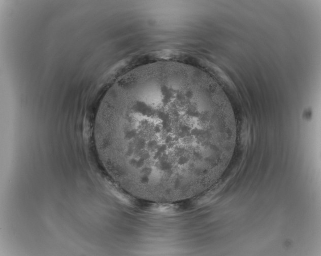 X0000092080569200709121446