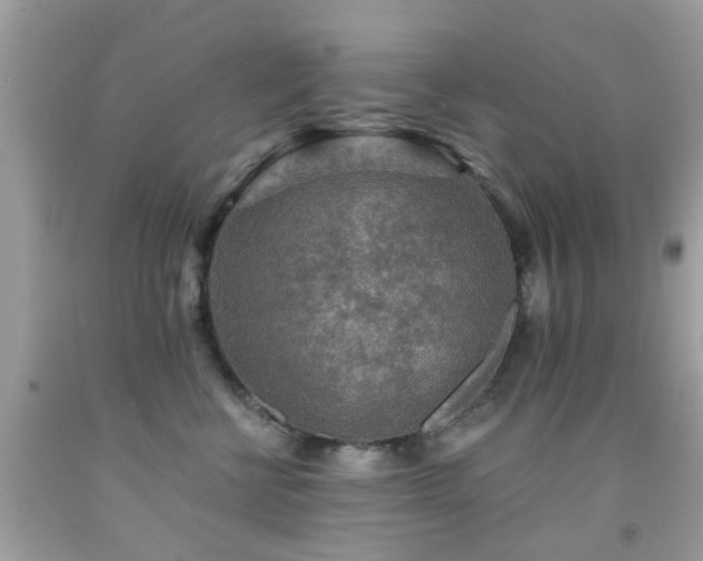 X0000092080570200709121447