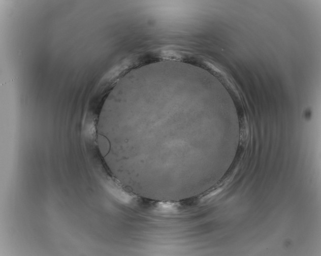 X0000092080573200709121447