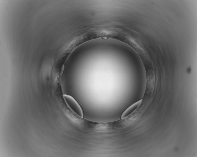 X0000092080574200709121447