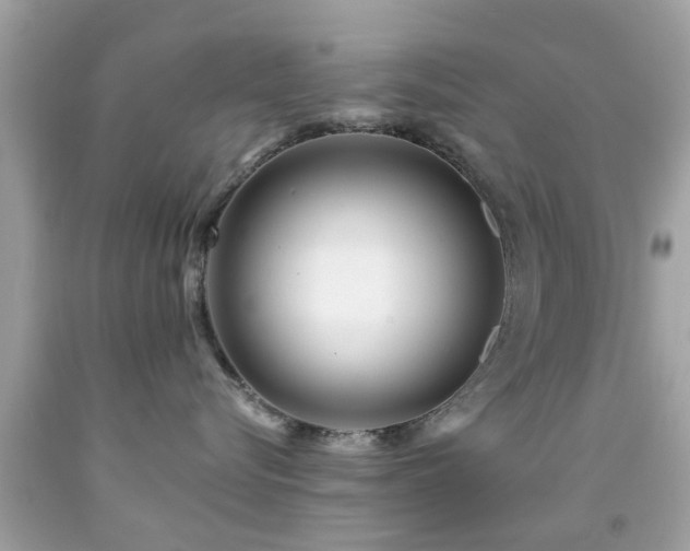 X0000092080576200709121447