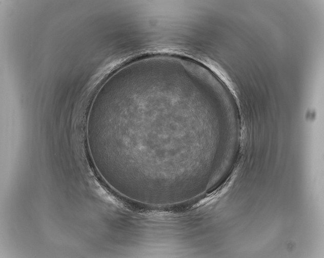 X0000092080577200709121446