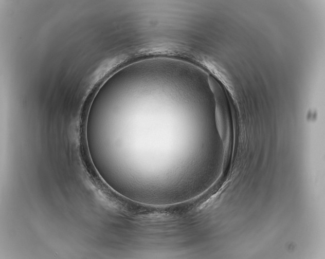 X0000092080578200709121446