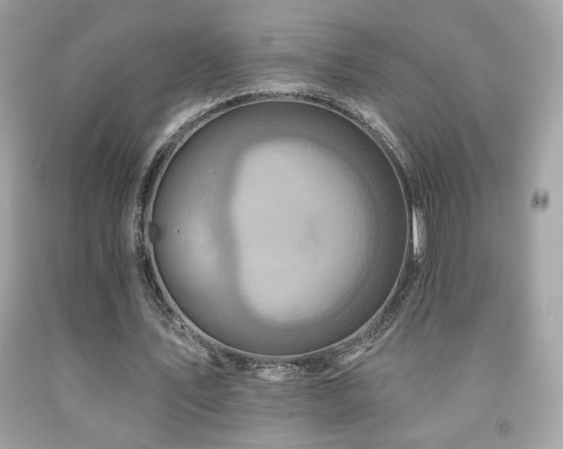 X0000092080579200709121446