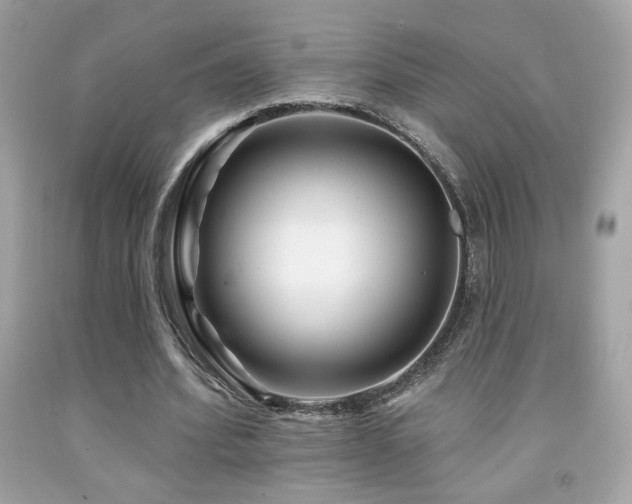 X0000092080580200709121446
