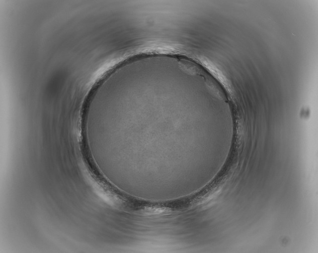X0000092080582200709121446