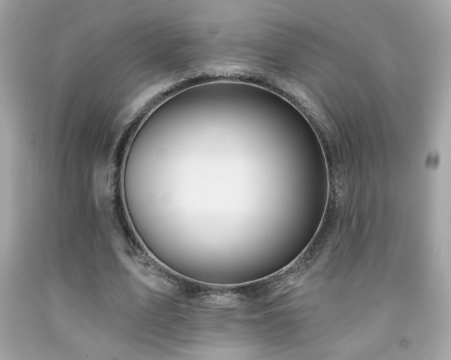 X0000092080583200709121446