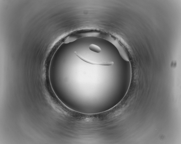 X0000092080584200709121446