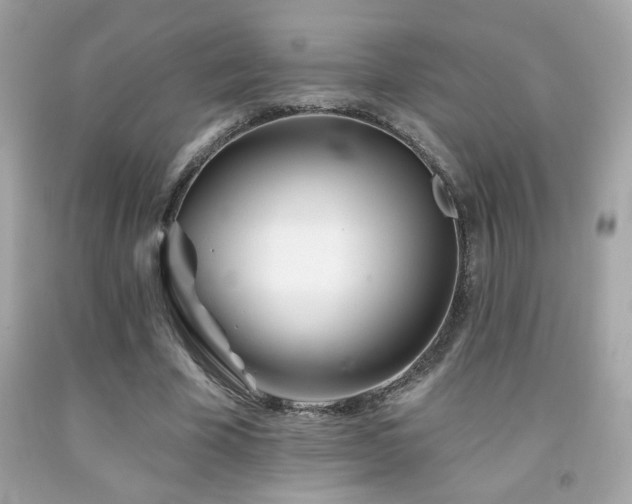 X0000092080585200709121446