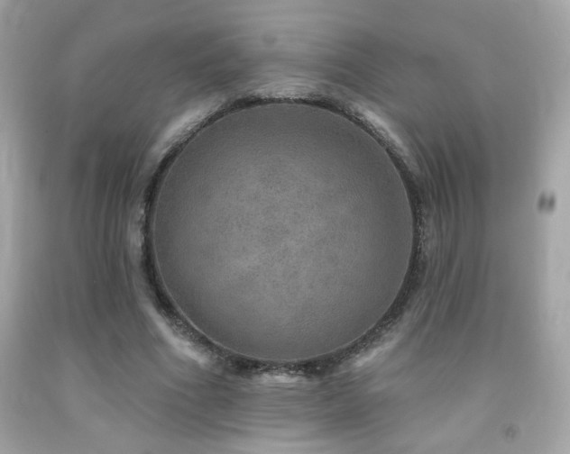 X0000092080586200709121446