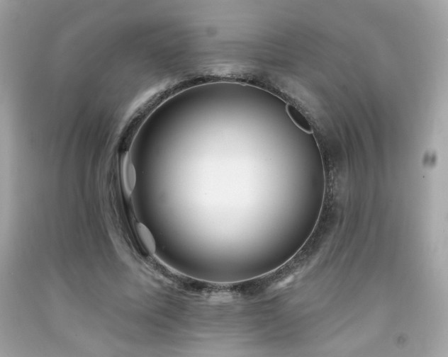 X0000092080587200709121446