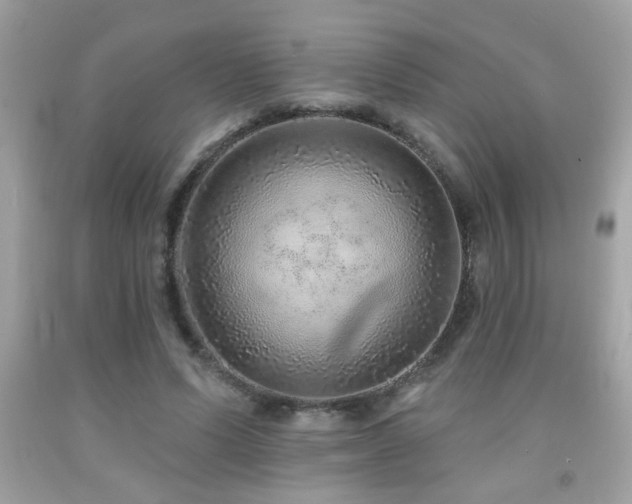 X0000092080591200709121446
