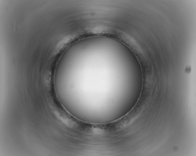 X0000092080592200709121446