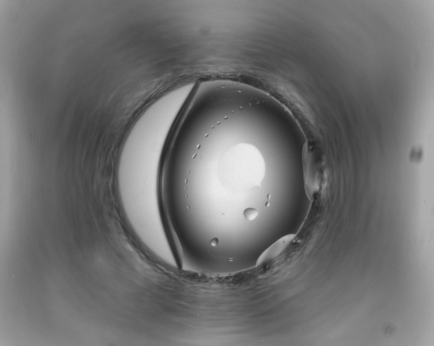 X0000092080593200709121446