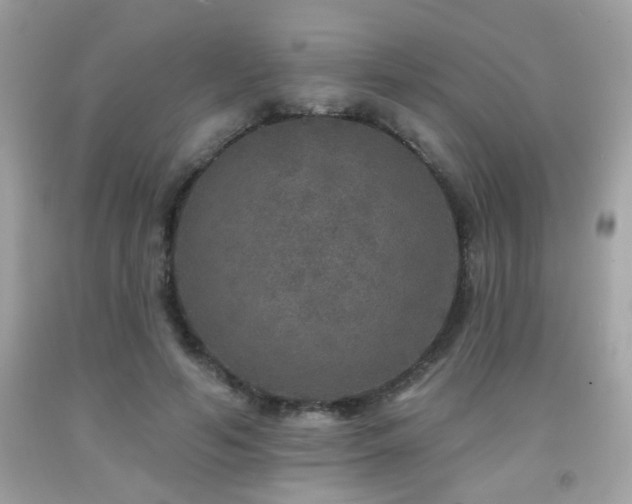 X0000092080594200709121446