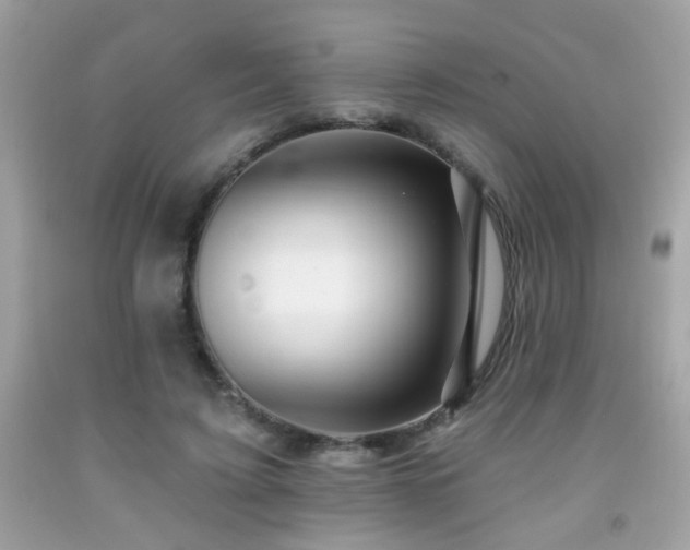 X0000092080595200709121446