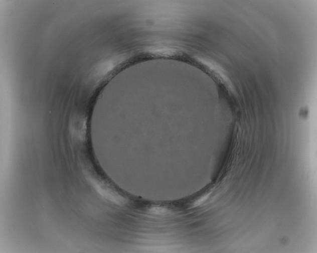 X0000092080596200709121446