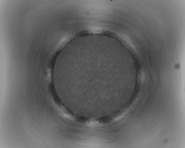 X0000092080598200709121446