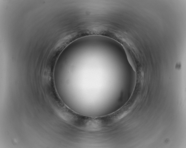 X0000092080599200709121446