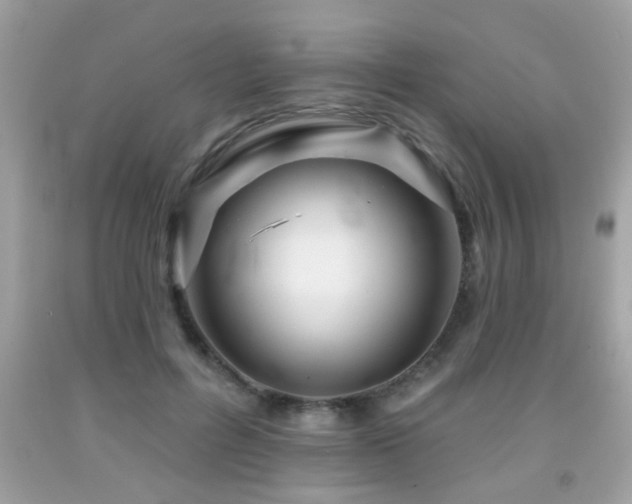 X0000092080600200709121446